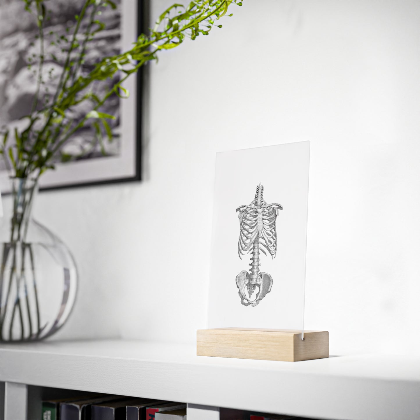 "Bones" Acrylic Plaque with Wooden Stand