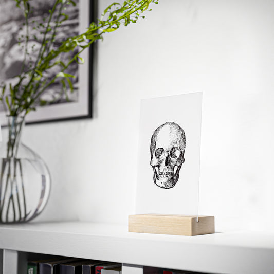 "Skull" Acrylic Prague with Wooden Stand