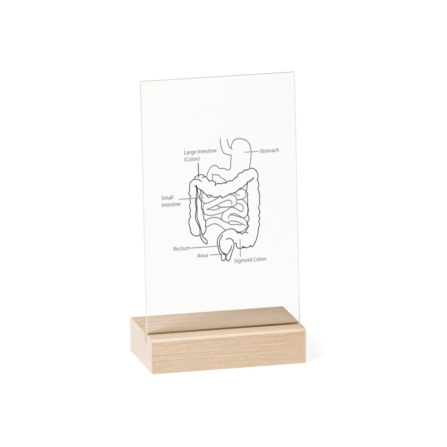 Acrylic Sign with Wooden Stand