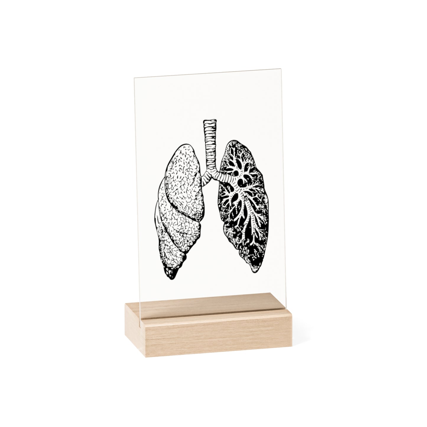 "Lung" Acrylic Plaque with Wooden Stand