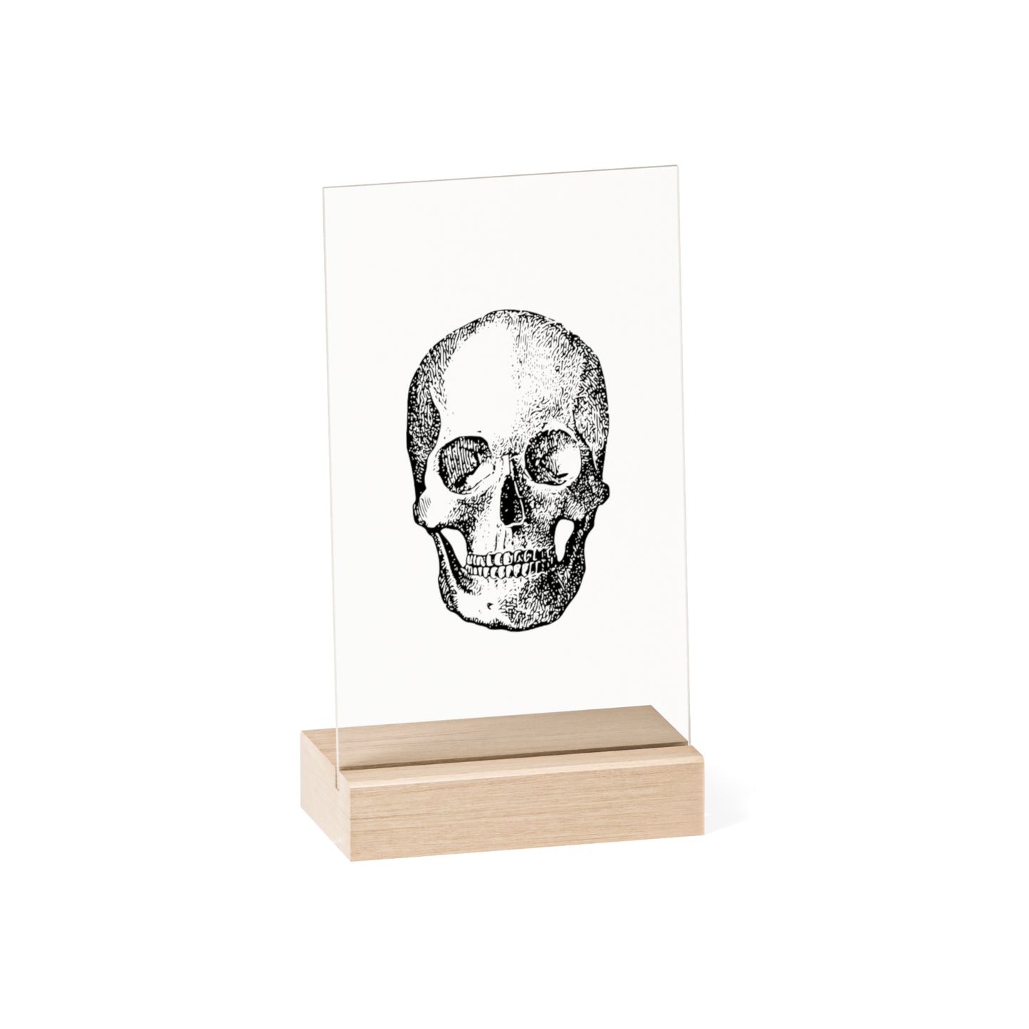 "Skull" Acrylic Prague with Wooden Stand