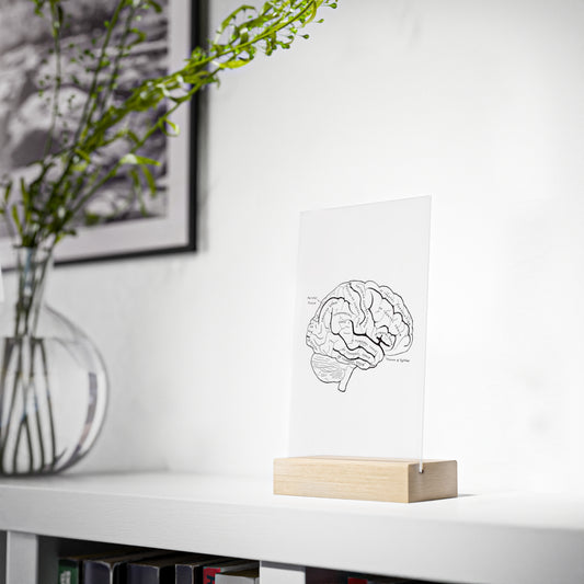 "Brain" Acrylic Plaque with Wooden Stand
